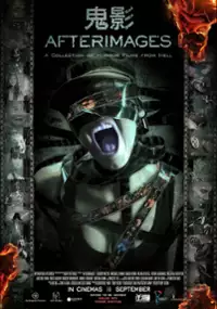 Plakat filmu Afterimages