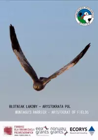 Plakat filmu Błotniak łąkowy - arystokrata pól