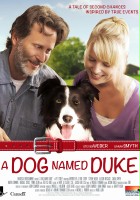 plakat filmu Pies imieniem Duke