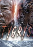 plakat filmu Tygrys
