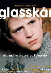 Plakat filmu Blizny
