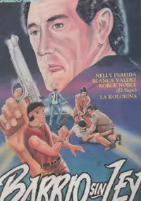 Plakat filmu Barrio sin ley