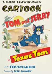 Plakat filmu Tom Teksańczyk 
