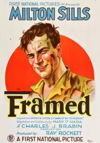 Plakat filmu Framed