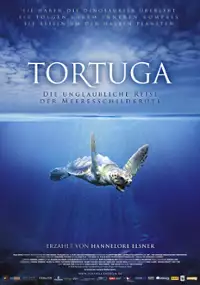 Plakat filmu Turtle: The Incredible Journey