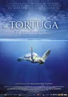 plakat filmu Turtle: The Incredible Journey