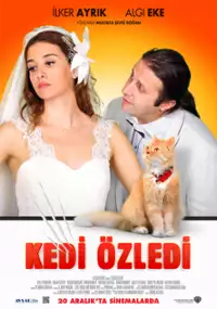 Plakat filmu Kedi Özledi