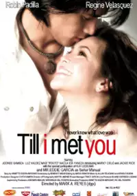 Plakat filmu Till I Met You