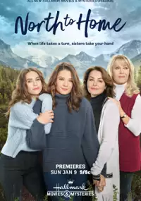 Plakat filmu North to Home