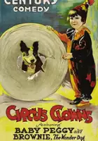 plakat filmu Circus Clowns