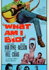 Plakat filmu What Am I Bid?