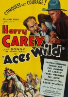 plakat filmu Aces Wild