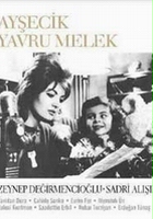 plakat filmu Aysecik - Yavru Melek
