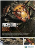 plakat filmu Niesamowite owady
