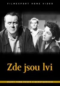 Plakat filmu Tu są lwy