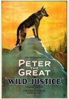 plakat filmu Wild Justice