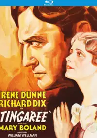 Plakat filmu Stingaree
