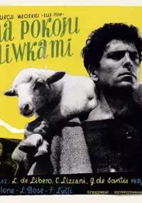 Plakat filmu Nie ma pokoju pod oliwkami