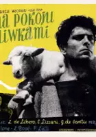 plakat filmu Nie ma pokoju pod oliwkami