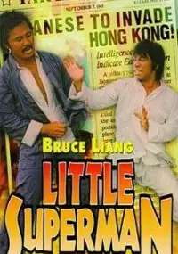 Plakat filmu Sheng Long Huo Hu Xiao Ying Xiong