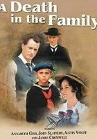 plakat filmu Śmierć w rodzinie
