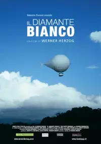 Plakat filmu Biały diament