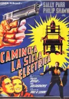 Patrick Waltz / The Sun Sets at Dawn