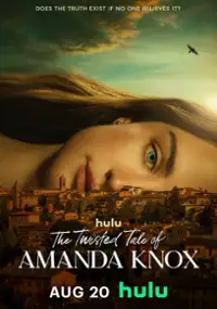 Plakat serialu Sprawa Amandy Knox