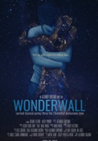 plakat filmu Wonderwall