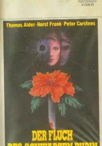 Plakat filmu Der Fluch des schwarzen Rubin