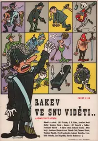 Plakat filmu Rakev ve snu viděti
