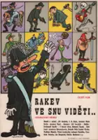 plakat filmu Rakev ve snu viděti