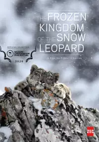 Plakat filmu Królestwo irbisa śnieżnego