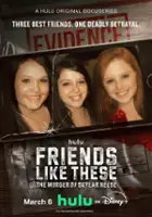 plakat filmu Friends Like These: The Murder of Skylar Neese