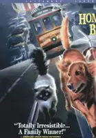 plakat filmu Daleko od domu 2: Zagubieni w San Francisco