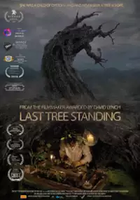 Plakat filmu Ostatnie drzewo
