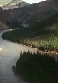 Plakat filmu Arctic River