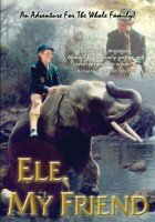 plakat filmu Mój przyjaciel słoń