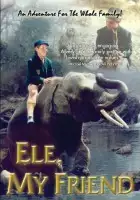 plakat filmu Mój przyjaciel słoń
