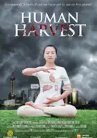 plakat filmu Chińska cena życia