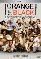plakat - Orange Is the New Black (2013)