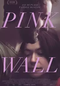 Plakat filmu Pink Wall