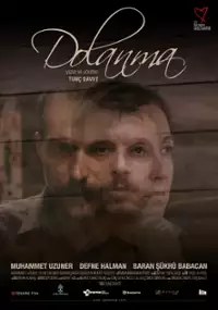 Plakat filmu Dolanma