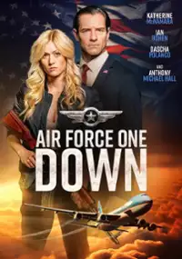 Plakat filmu Air Force One Down