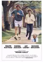 plakat filmu Wizyty domowe