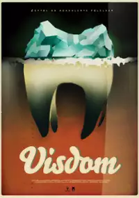 Plakat filmu Visdom