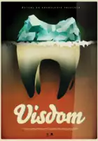plakat filmu Visdom