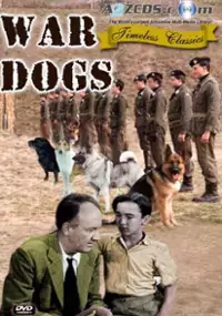 Plakat filmu War Dogs
