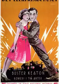 Plakat filmu Elektryczny dom