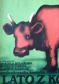 Plakat filmu Lato z kowbojem